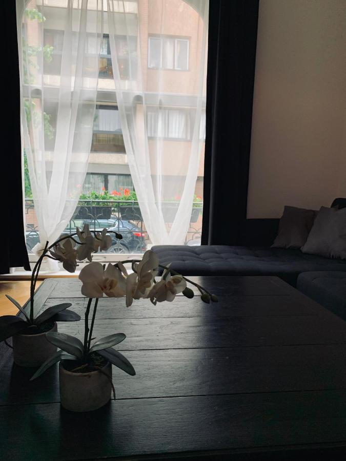 Chic Cocoon Guest House Saint-Gilles Ngoại thất bức ảnh